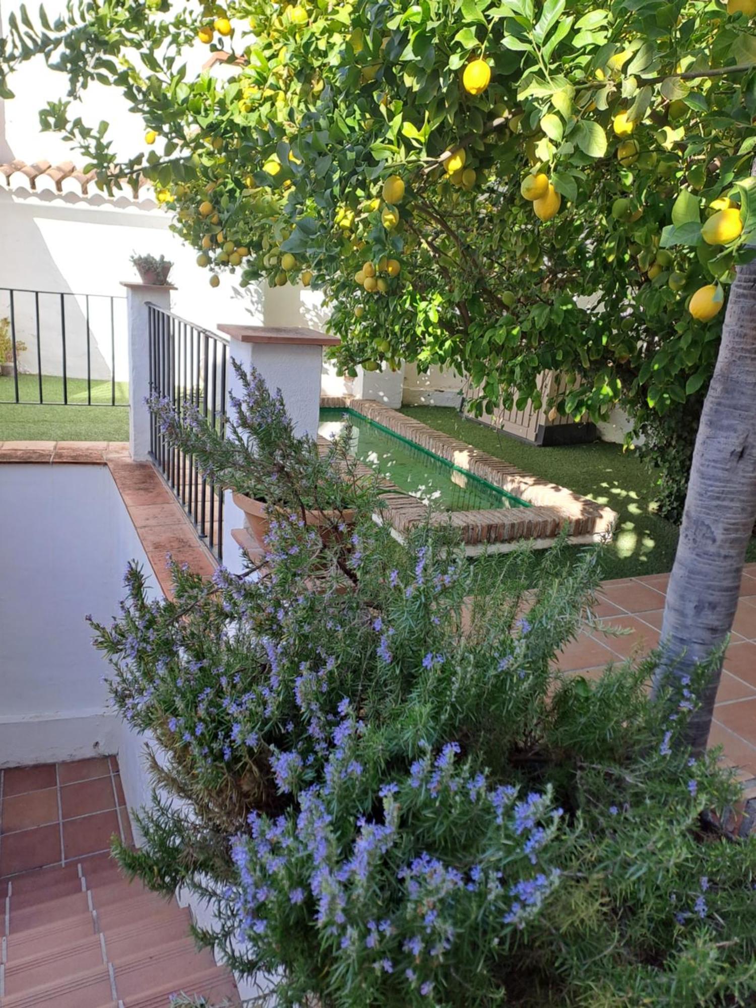 Casa Alhambra - Centro Historico Con Jardin Privado Apartment Granada Exterior foto